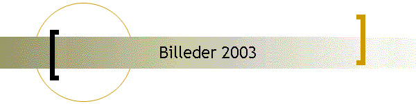 Billeder 2003
